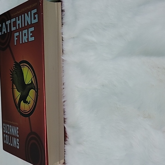 Catching Fire - Picture 3 of 5